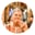 Ranjan